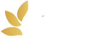 Dr. André Borba